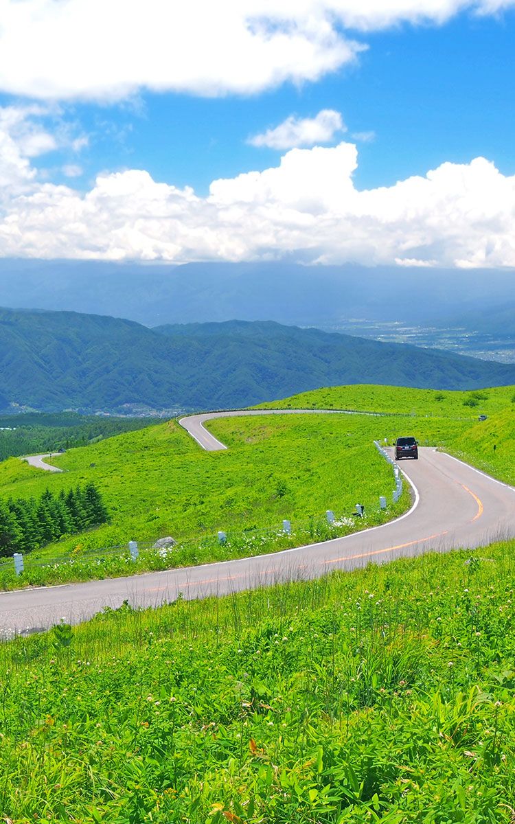 北海道の雄大な自然の中を走る車